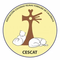Cescat Torralba