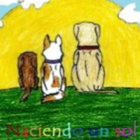 Asociación Naciendo un Sol