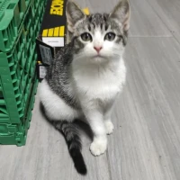 Adopta a Paqui Valera Parra