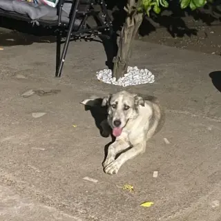 Keila