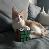 Adopta a Liam Hemsworth