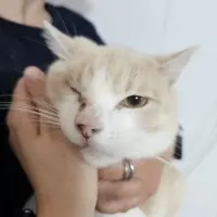 Adopta a Espigón