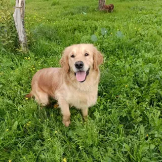 Max