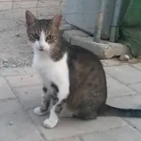 Adopta a Luna