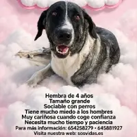 Adopta a Margarita