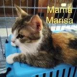 Adopta a Marisa