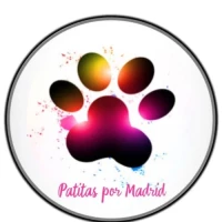 Patitas por Madrid