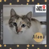 Adopta a Alana