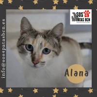 Adopta a Alana