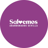 Salvemos Abandonados Sevilla