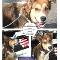Adopta a Martina