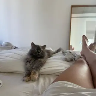 Vida