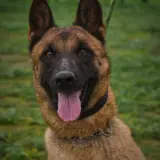 Adopta a Lena