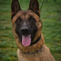 Adopta a Lena
