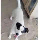 Adopta a Tiboli