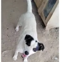 Adopta a Tiboli