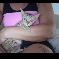 Adopta a Lila (Cati)