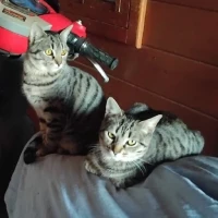 Adopta a Móni Y Lena