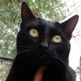 Adopta a Carmela