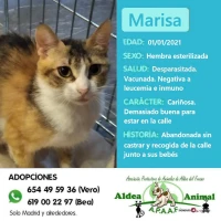 Adopta a Marisa