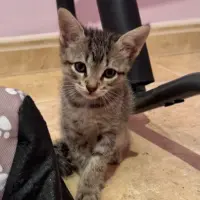 Adopta a Clara Campoamor