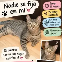 Adopta a Leo