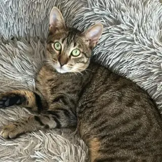 Luka
