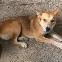 Adopta a Cristina