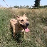 Adopta a Luna