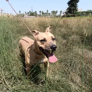 Luna