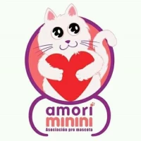 Amori Minini Asociación Pro Mascota