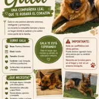 Adopta a Gala