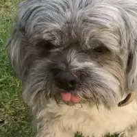 Adopta a Zazpi