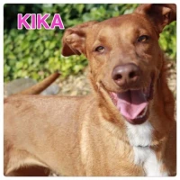 Adopta a Kika