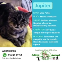 Adopta a Júpiter