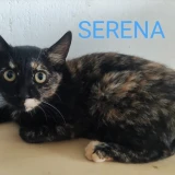 Adopta a Serena