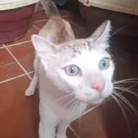 Adopta a Gaspar