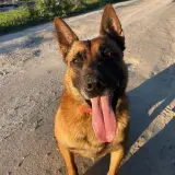 Adopta a Seth
