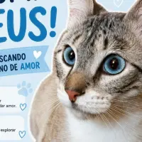 Adopta a Zeus