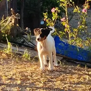 Bodegueros