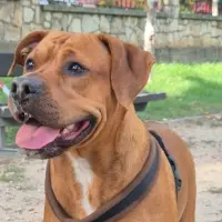 Adopta a Luna