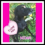 Adopta a Nina