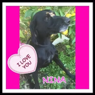 Nina