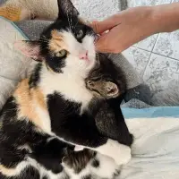 Adopta a Marga