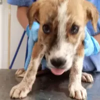 Adopta a Camada La Fabriquilla