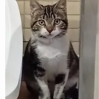 Jandro