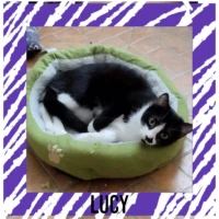 Adopta a Lucy