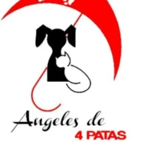 Ángeles de 4 Patas