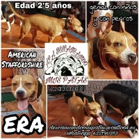 Adopta a Era