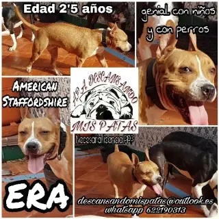 Era